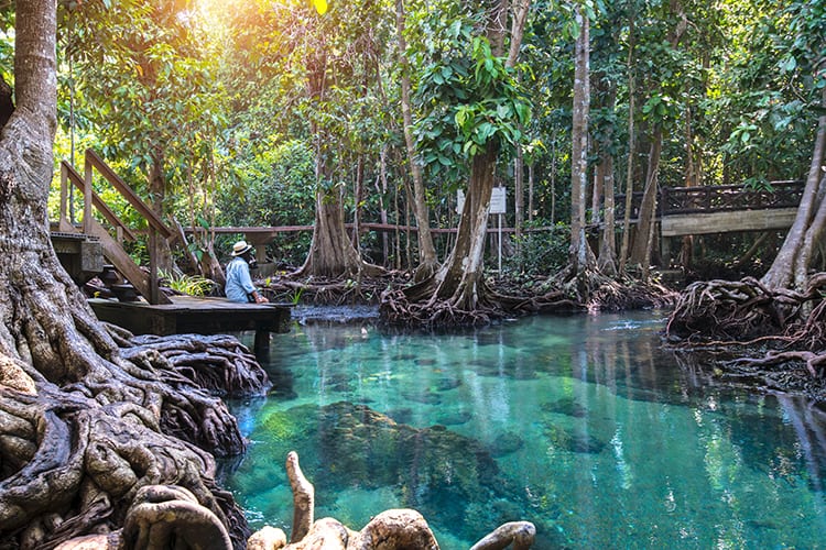 Krabi Emerald Pool & Blue Lagoon