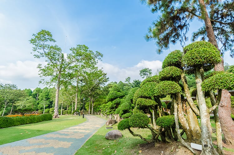 Lake Gardens also known as Kuala Lumpur Perdana Botanical Garden