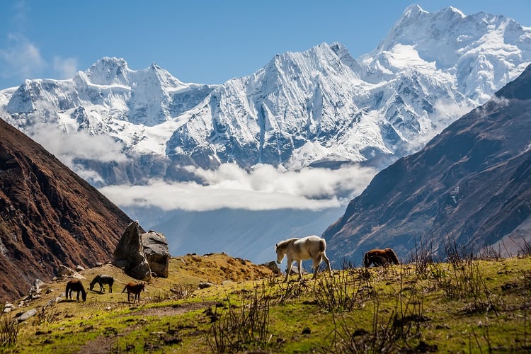 Manaslu Circuit Trek Nepal