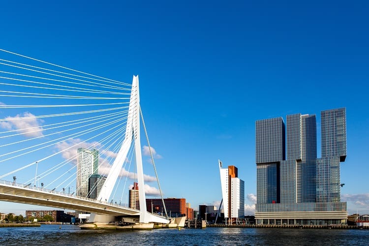 Skyline Rotterdam – Erasmus bridge
