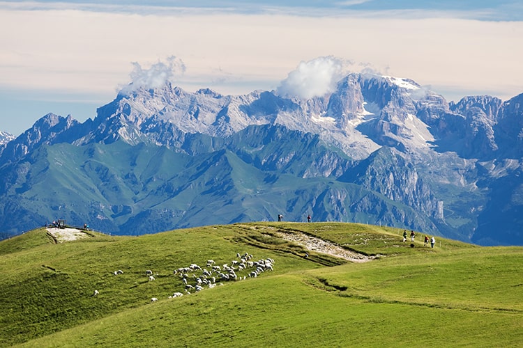 Monte Baldo at Lake Garda