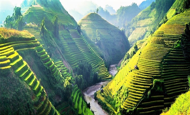 Best time to visit Vietnam - North-West Vietnam Rice Fields