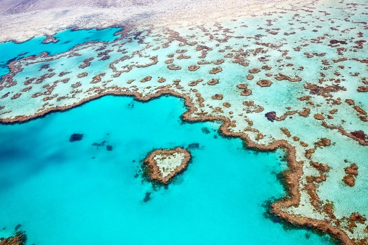 Things to try in Australia - Check out the Great Barrier Reef