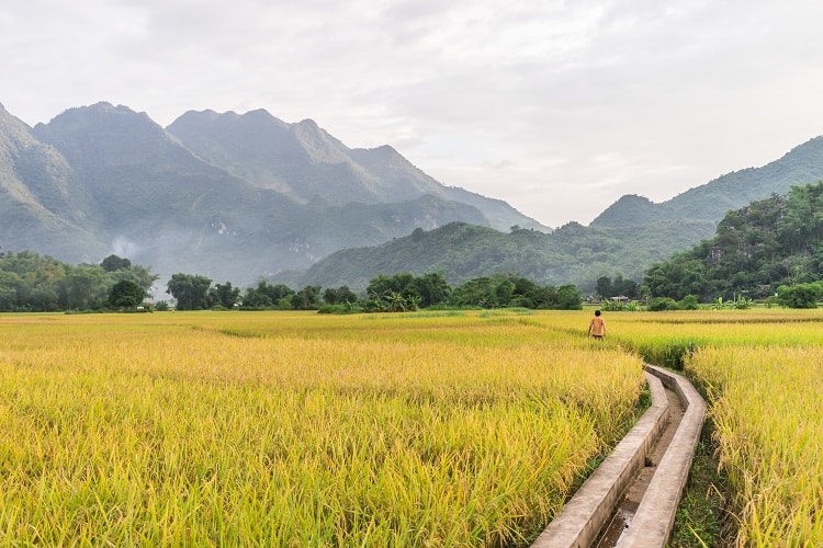 Mai Chau