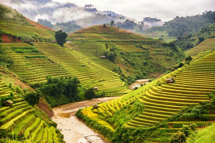 Mu Cang Chai - Best Places to Visit in Vietnam