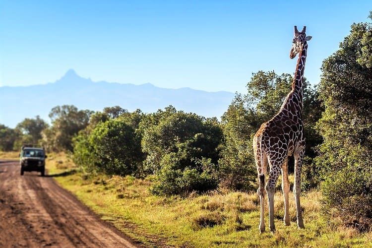 Uganda Tours - Uganda Wildlife