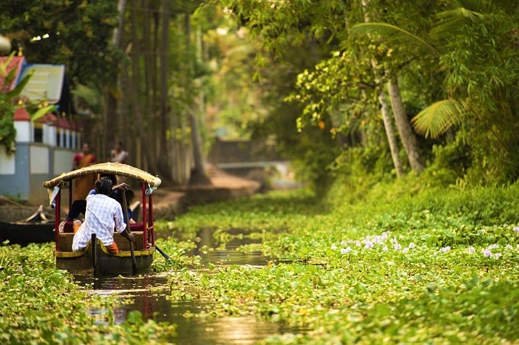 5 things you need to know before you go to Kerala