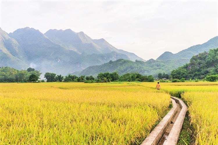 Mai Chau Vietnam