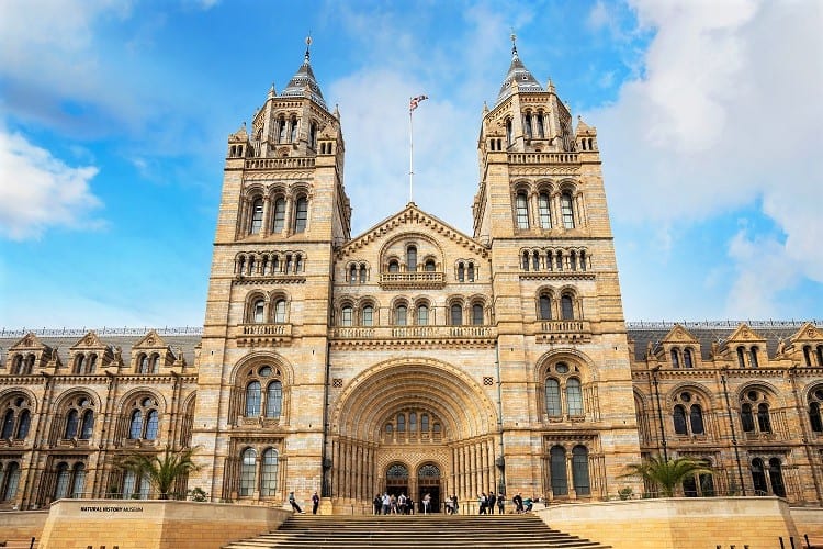 Nature Activities with Family in the UK - Natural History Museum in UK with kids