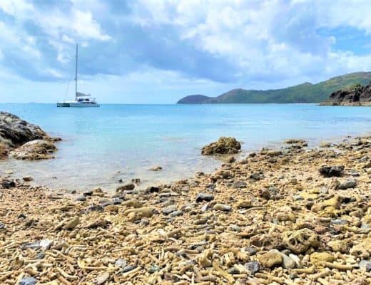 Daydream Island Review