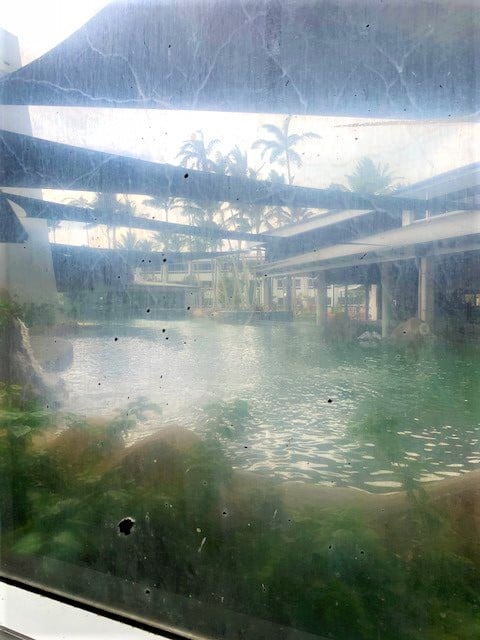 Daydream Island Resort - window to the reef pool