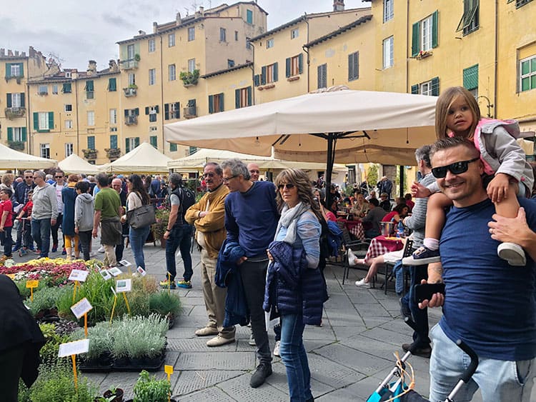 Piazza Dell' Anfiteatro Lucca