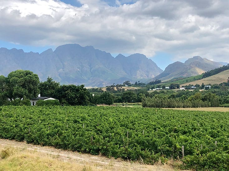 Franschhoek Cellar