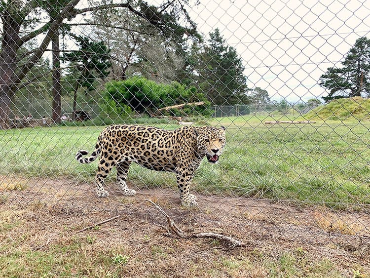 Jukani Wildlife Sanctuary