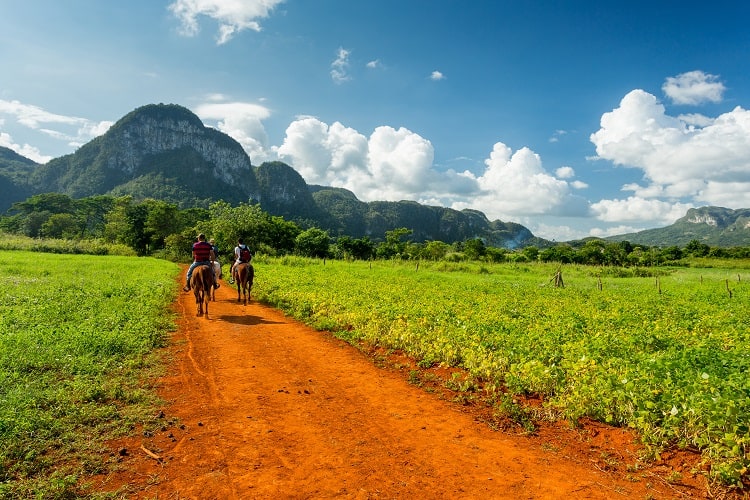 Vinales Cuba - Narure and Wildlife Tours in Central America