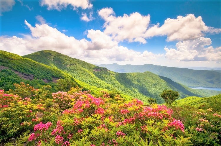 Blue Ridge Parkway, Asheville North Carolina