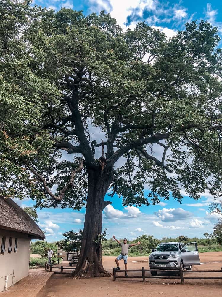 Driving from Johannesburg to Kruger National Park