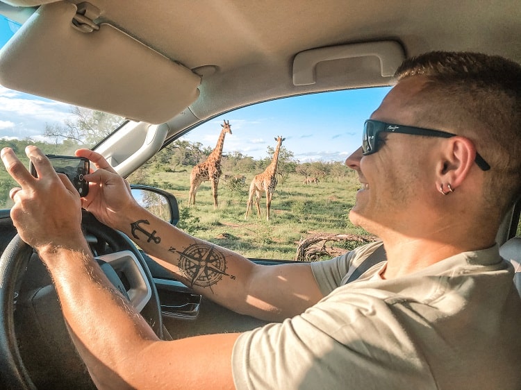 SELF-DRIVE SAFARI IN KRUGER NATIONAL PARK, SOUTH AFRICA, man sitting behind the wheel in the carholding a phone, smiling, giraffes walking