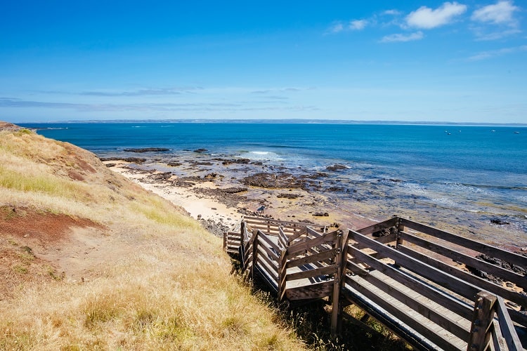 Philip Island with Kids, Australia