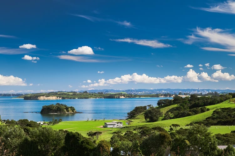 Waiheke Island in NZ