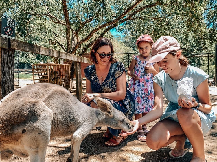 What to do Whilst at Broadbeach - Currumbin Wildlife Sanctuary