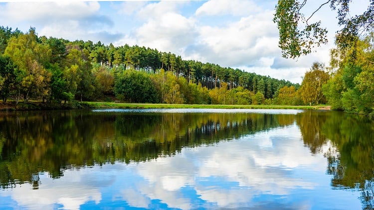 Cannock Chase, Staffordshire