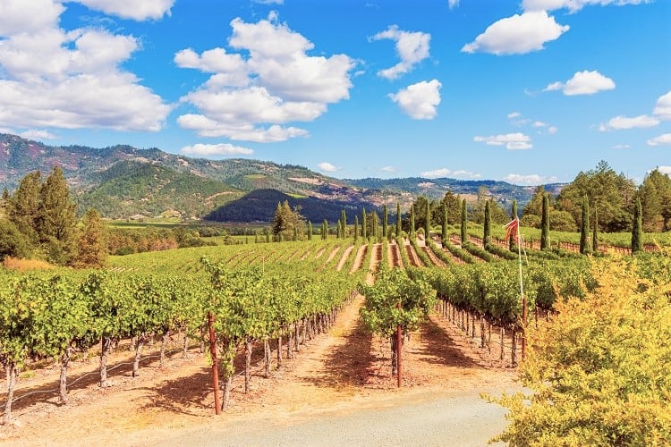 Girls' getaaway Napa Valley