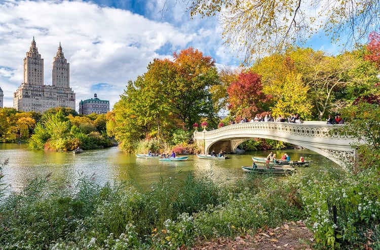 New York City Central Park