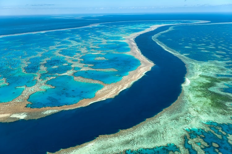 Great Barrier Reef Australia