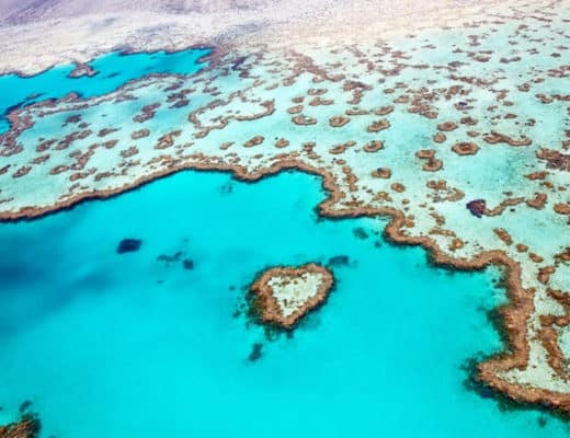 Things-to-tray-in-Australia-Check-out-the-Great-Barrier-Reef