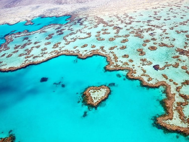 Things-to-tray-in-Australia-Check-out-the-Great-Barrier-Reef