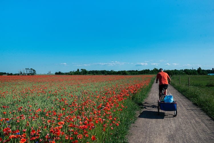 Amstel River Countryside