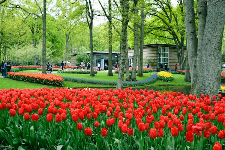 Keukenhof Gardens