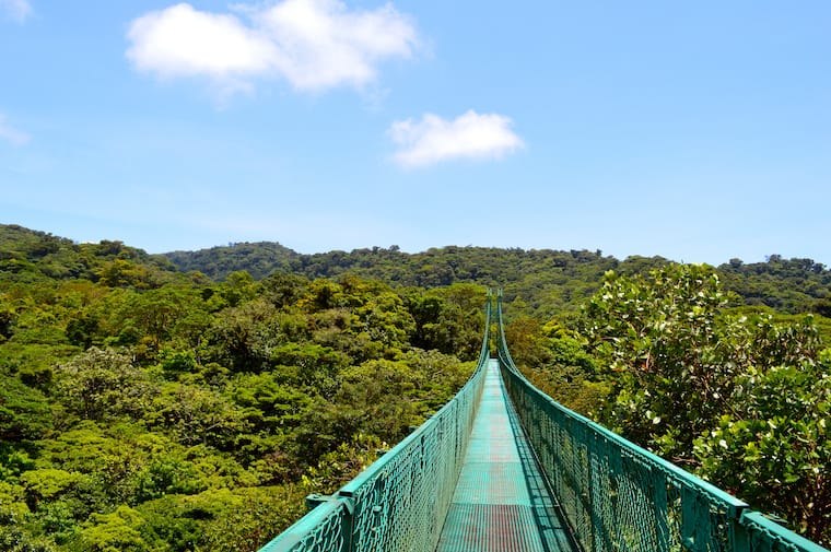 Canopy Bridge Costa Rica