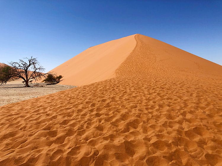 Dune 45 in Deadvlei, Sossusvlei, Namibia