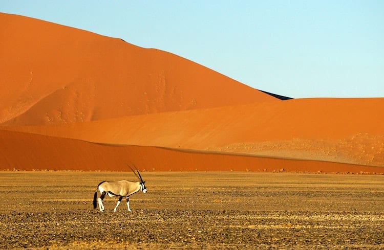 Namib-Naukluft National Park 