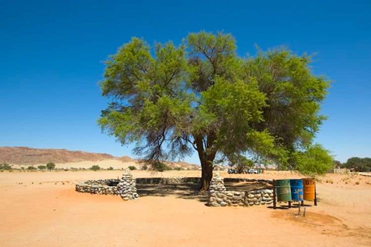 Sesriem Campsite Namibia