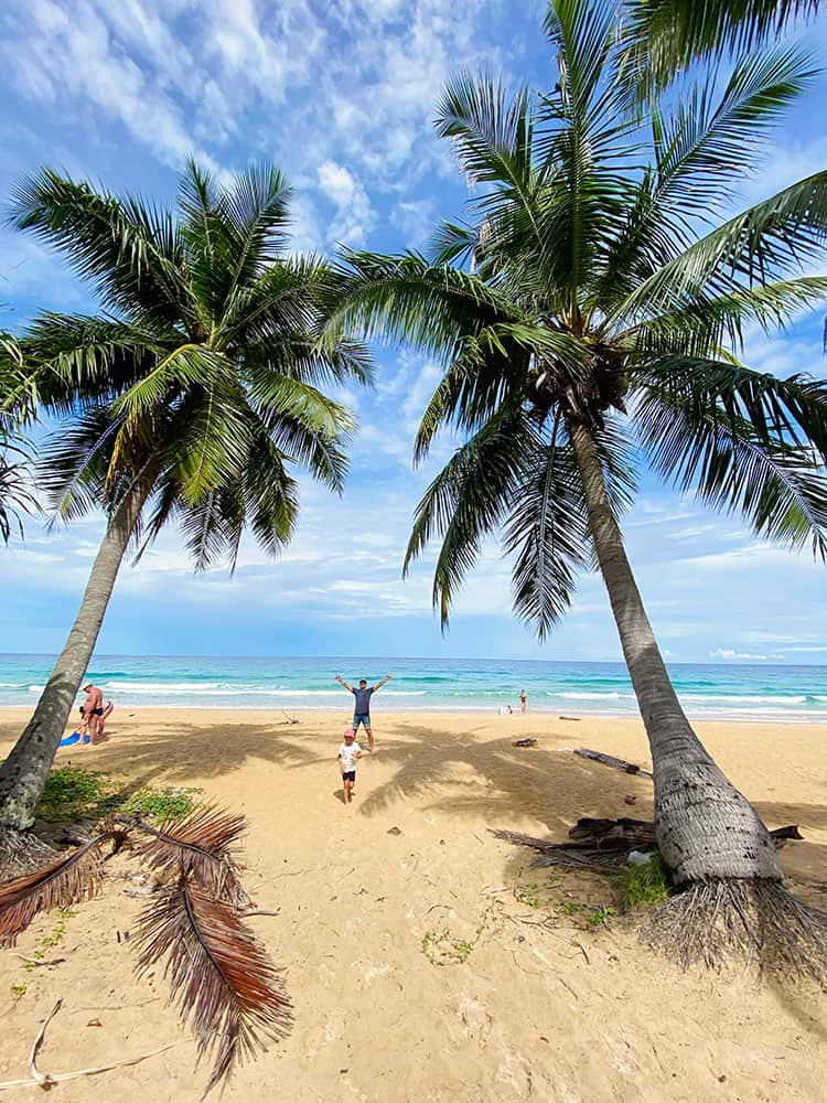 Karon Beach, Palm Trees, Phuket, Thailand