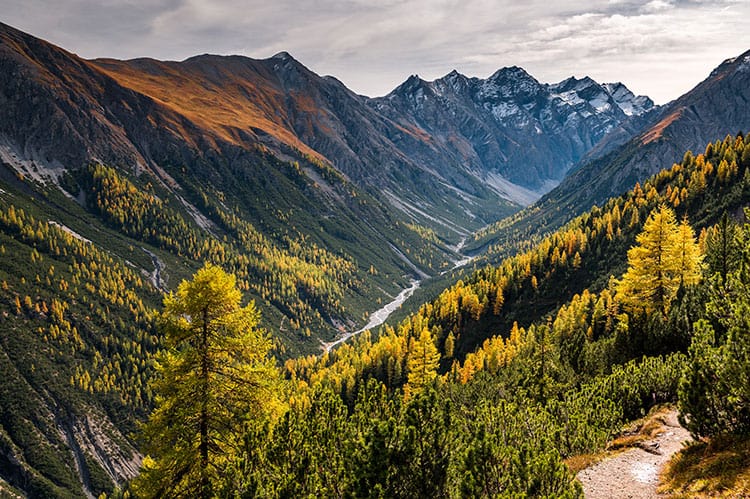 Swiss National Park Switzerland