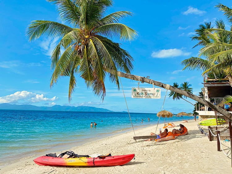 Ban Tai Beach, Koh Samui, Thailand, palm tree with a swing, some tourists, kayak