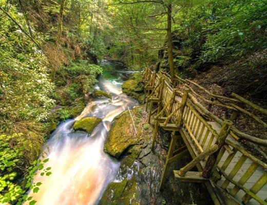 Bushkill Fall Pennsylvania US, Footbridge next to the waterfall F