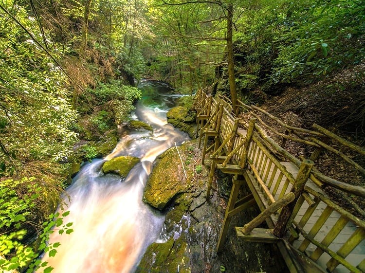 Bushkill Fall Pennsylvania US, Footbridge next to the waterfall F