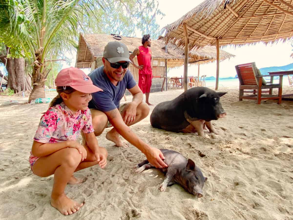 Koh Madsum island, Pig Island, Thailand, father and daughter patting baby pig, mother pig near by, beach sand