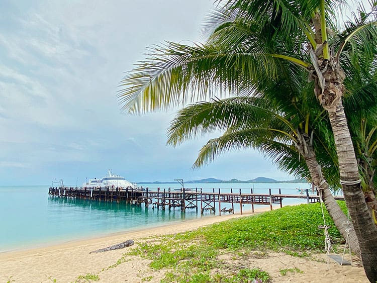 Koh Samui Ferry Pier, Thailand, pier with the boat, palm tree in the foreground
