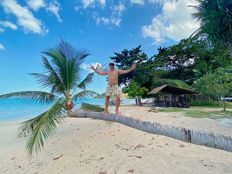 Palm Tree at Chaweng Noi Beach in Koh Samui, Thailand, man standing on the palm tree