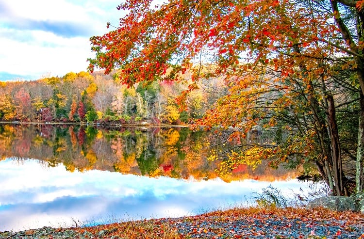 Bushkill Fall