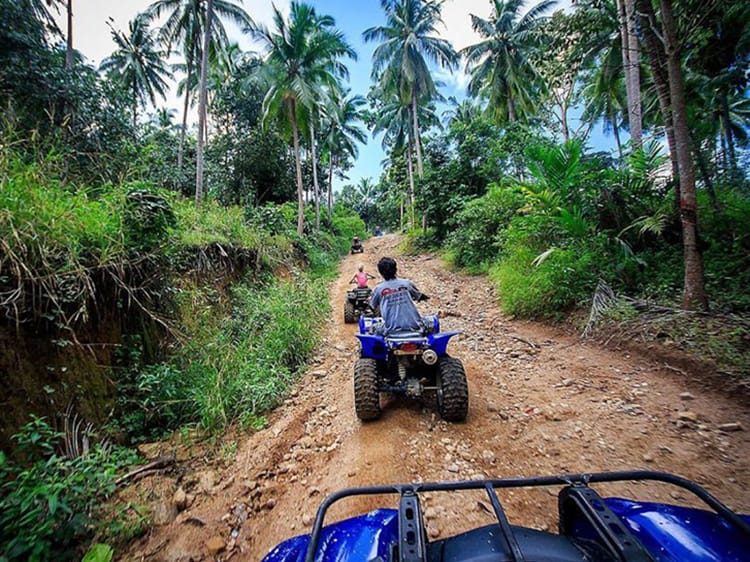 ATV tour through the palm tree forest, four ATVs, tourists riding on ATVs up the dirt road 