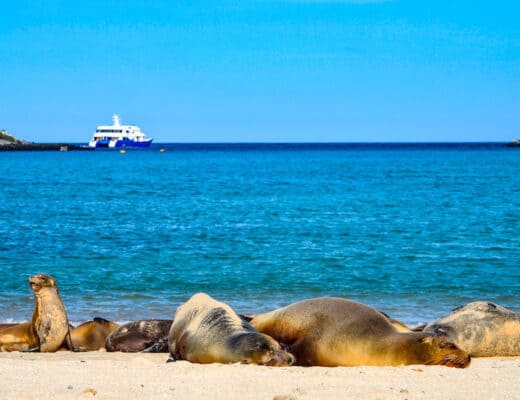Best-Islands-in-the-Galapagos