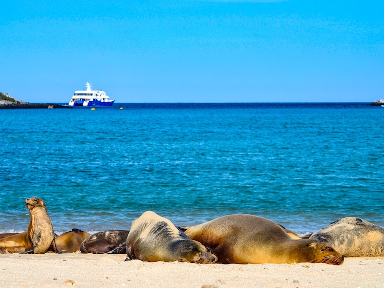 Best-Islands-in-the-Galapagos