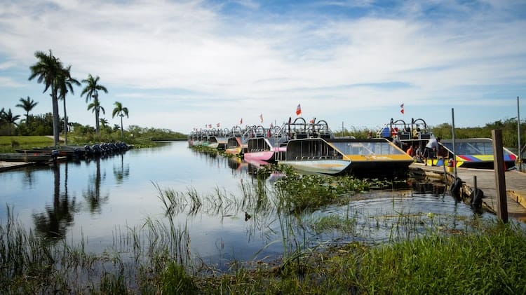 Miami Everglades Airboat Ride